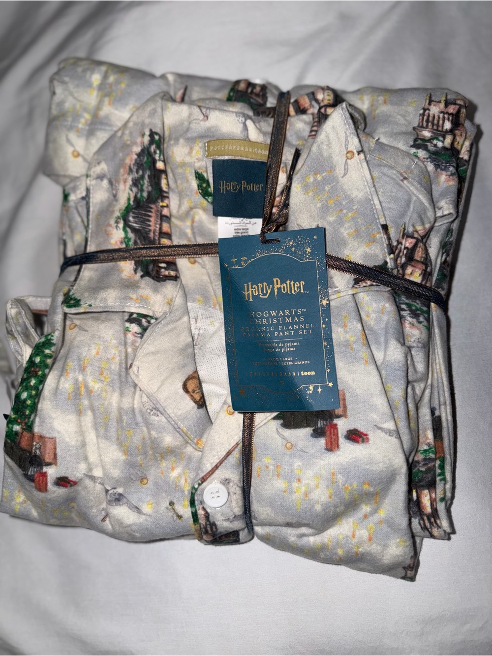 Pottery Barn Harry Potter Hogwarts Christmas Gray Flannel Pajama Set